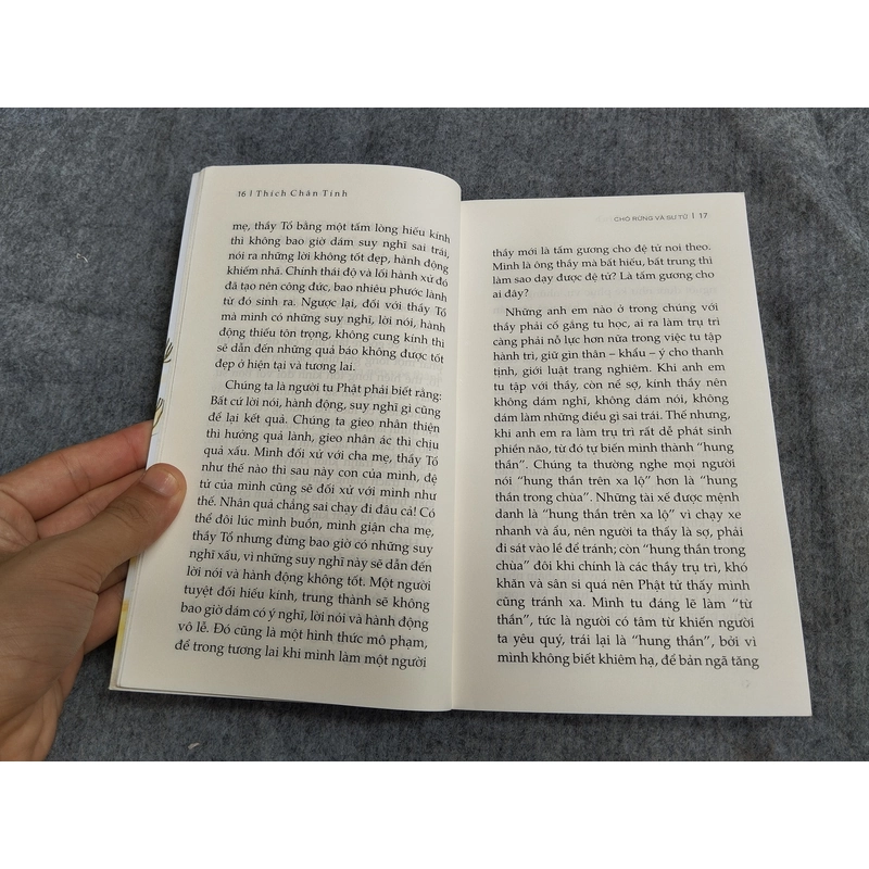 CHÓ RỪNG VÀ SƯ TỬ 549217