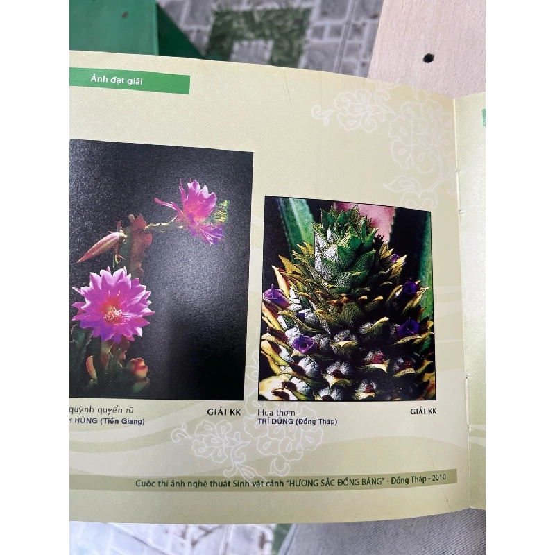 Hương sắc Đồng bằng 752035