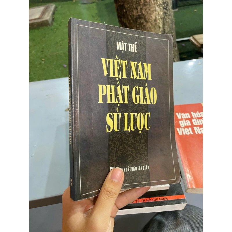 VIỆT NAM PHẬT GIÁO SỬ LƯỢC - MẬT THỂ 446251