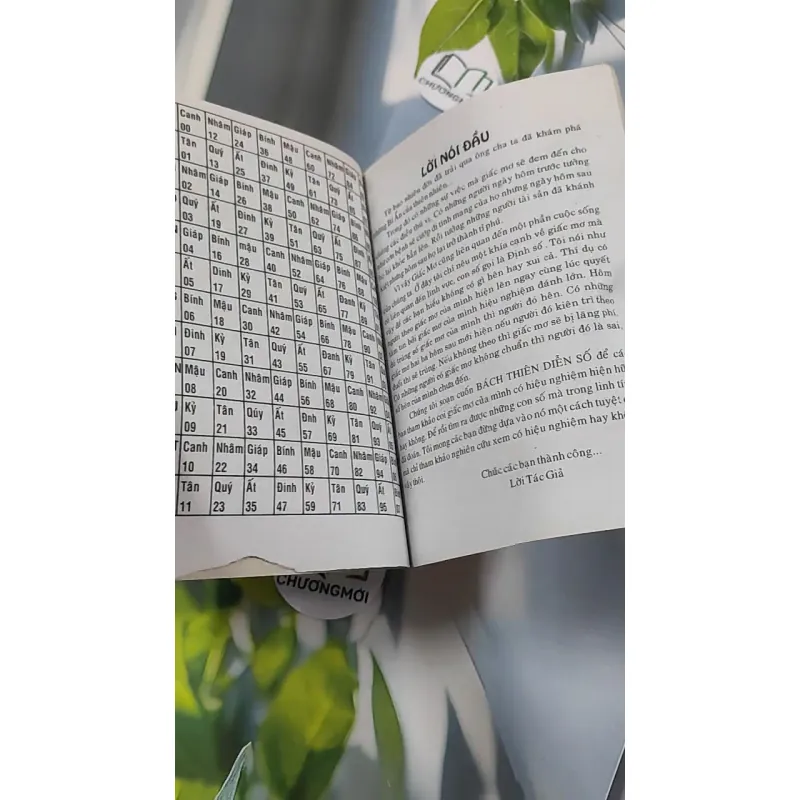 Bách Thiên Diễn Số - Dương Thuận Hào 776136