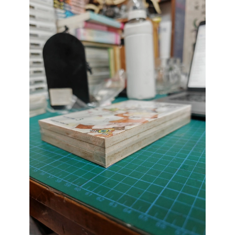 Truyện tranh những ngày tươi đẹp 497102