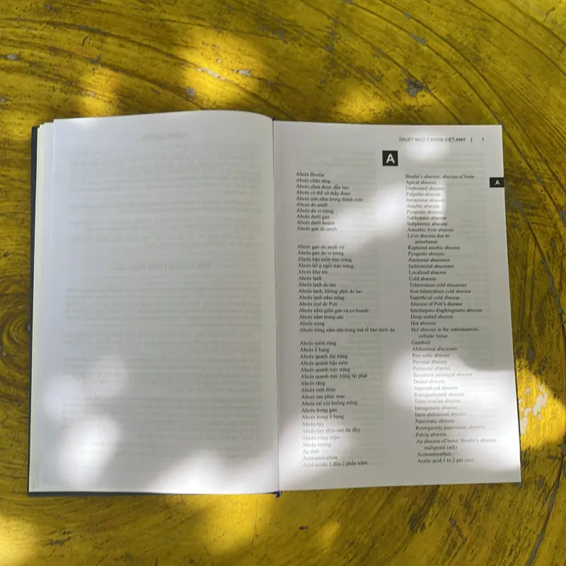 THUẬT NGỮ Y KHOA VIỆT - ANH - BS. NGUYỄN VĂN HÙNG 961693