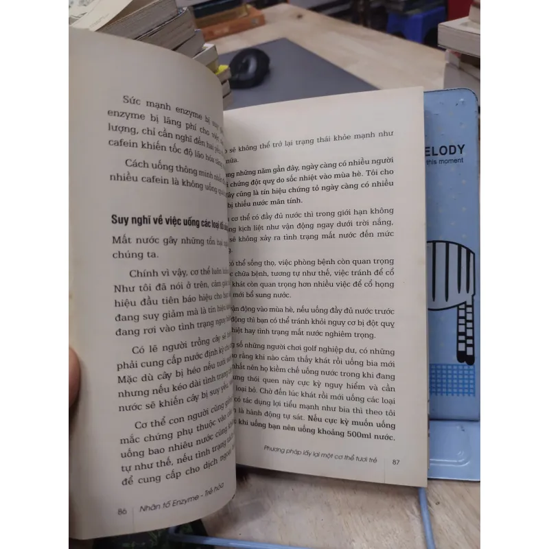 Sách: Nhân tố enzym - Trẻ hoá (B1) Tác giả: Hiromi shinya 693171