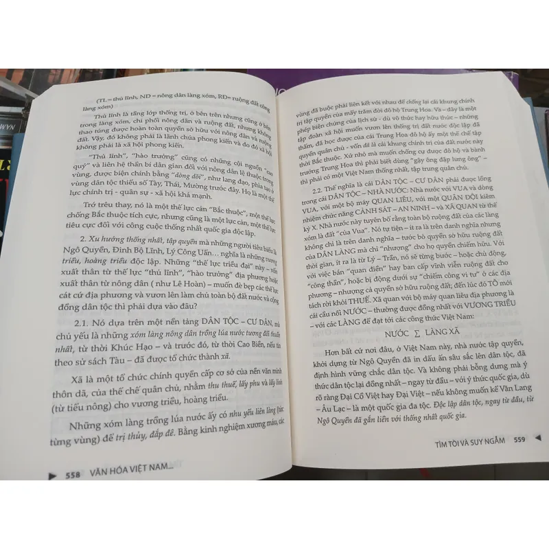 VĂN HÓA VIỆT NAM NHỮNG HƯỚNG TIẾP CẬN LIÊN NGÀNH 720842