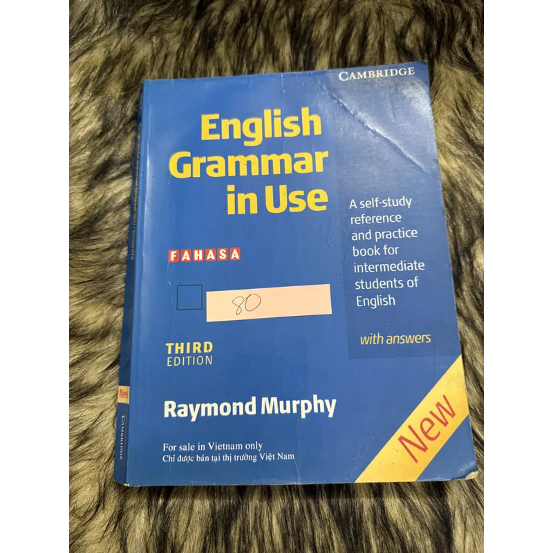 English Grammar in Use 599819
