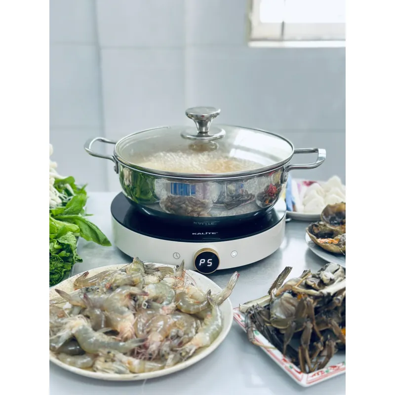 Bếp từ đơn Kalite Power S8 745783