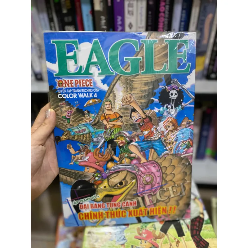 One Piece Color Walk 4 - EAGLE. 597034
