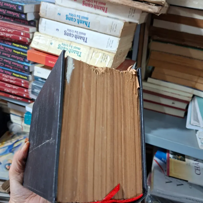 Việt nam tân từ điển 711984