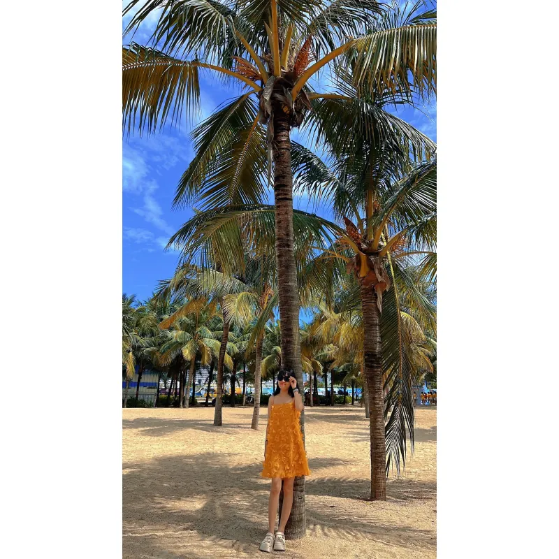 Váy nữ nắng vàng dáng suông kiểu dáng xòe đính hoa nổi siêu xinh 1024440