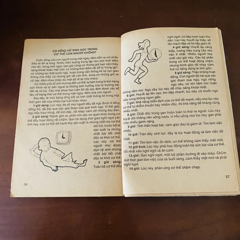 Những câu hỏi lý thú (1991) 974228