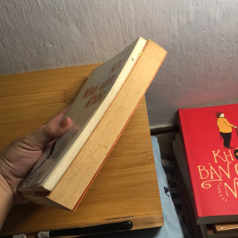 Combo Từ dòn mé sán đến… + Khi nhà văn khóc - Lý Lan 327677