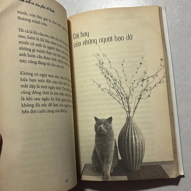 Mình sinh ra đâu phải để buồn - Iris Cao 760219