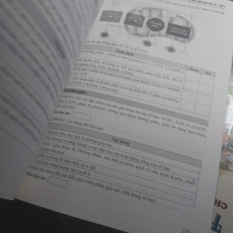 Tự học sinh 10 tập 1 782400