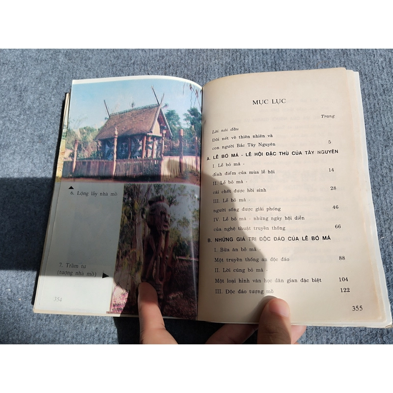 LỄ HỘI BỎ MẢ BẮC TÂY NGUYÊN 540681