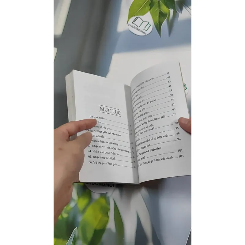 Phật Giáo Với Nhân Sinh - Pháp Sư Tuệ Luật 776151