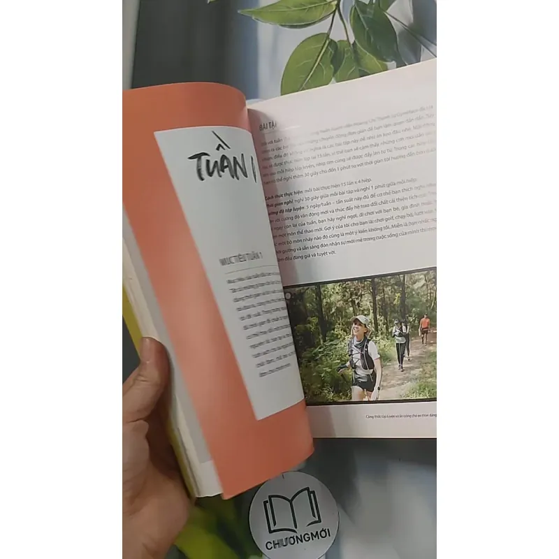 4 tuần độ lại body - HLV Lê Hằng 688487