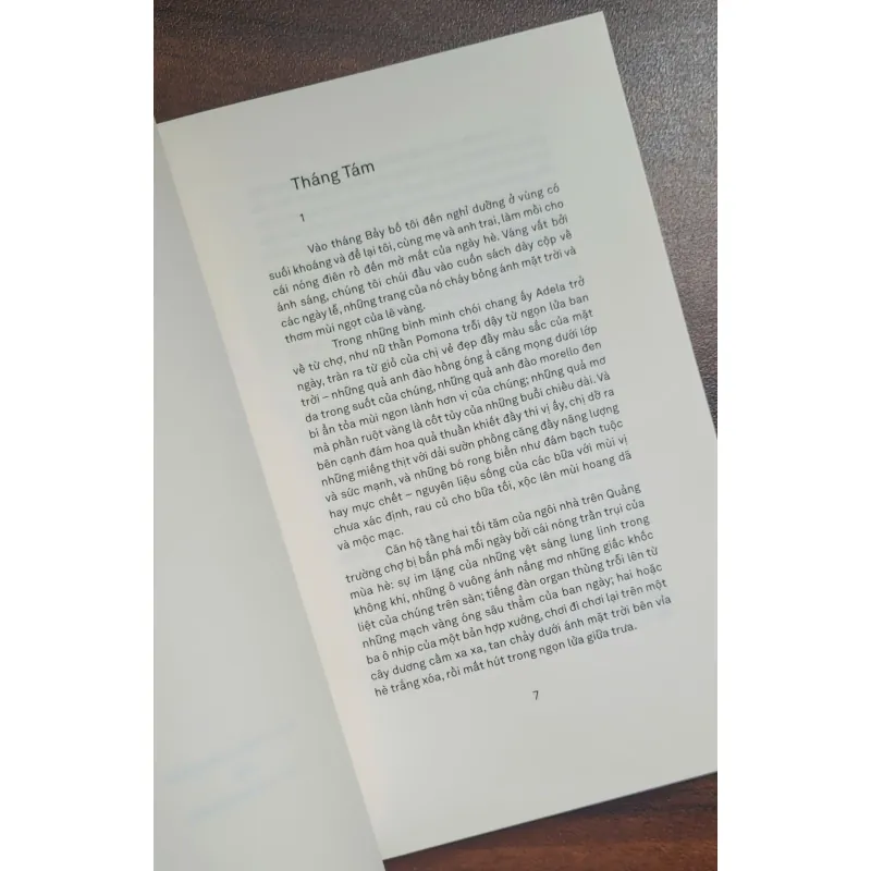 Những hiệu quế - Bruno Schulz 1025881