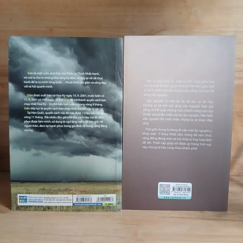 Thầy Thích Nhất Hạnh: Giận & Hiệu Lực Cầu Nguyện (2 Cuốn) 1029250