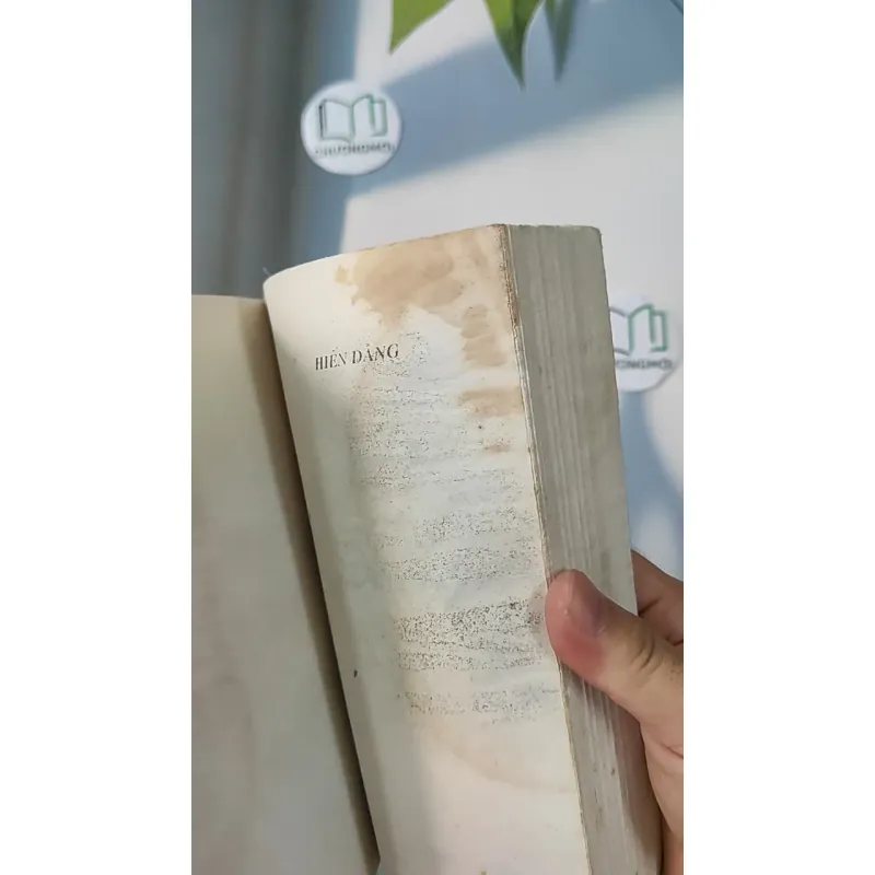 Hiến Dâng - Nguyên Nguyên 798317