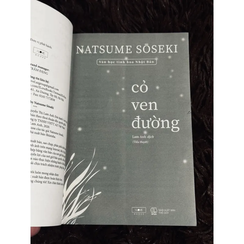 Cỏ ven đường 999175