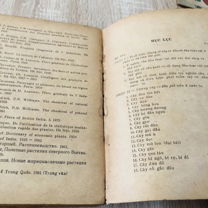 NHỮNG CÂY CÓ DẦU BÉO Ở VIỆT NAM  956949