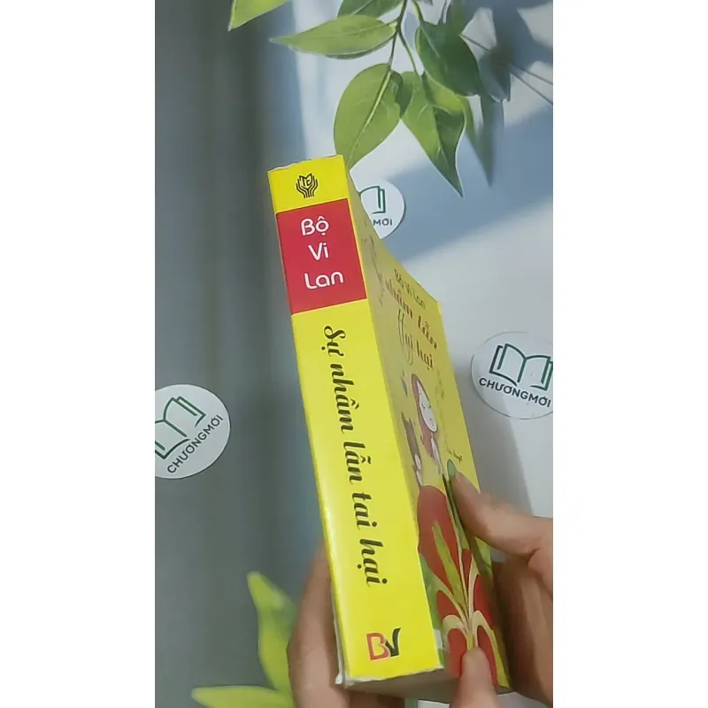 Sự nhầm lẫn tai hại - Bộ Vi Lan 688633