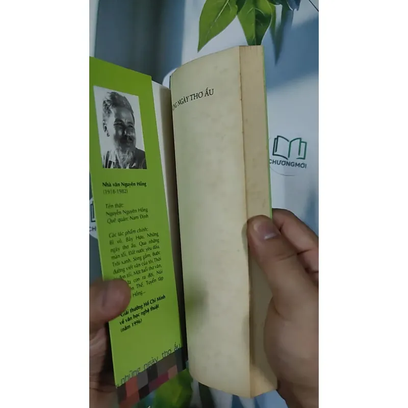 Những ngày thơ ấu - Nguyên Hồng 798507