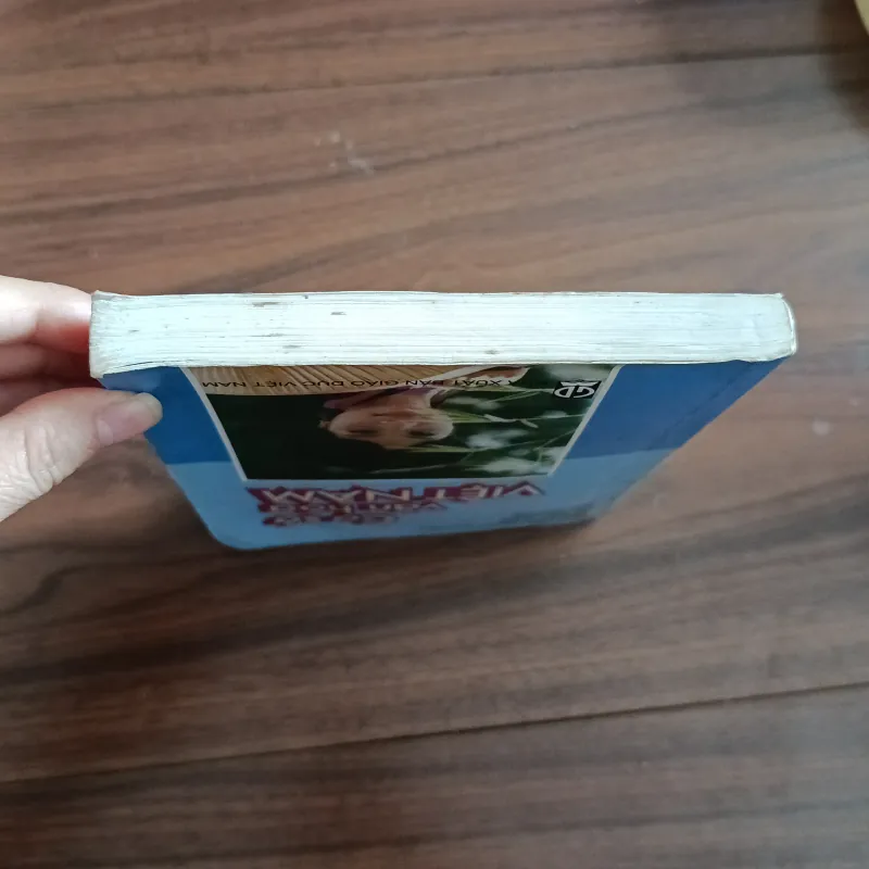 Cơ sở văn hoá việt nam 759475