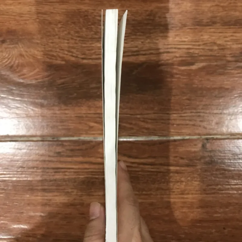 Vận khí để trị bệnh  (6) 1006623