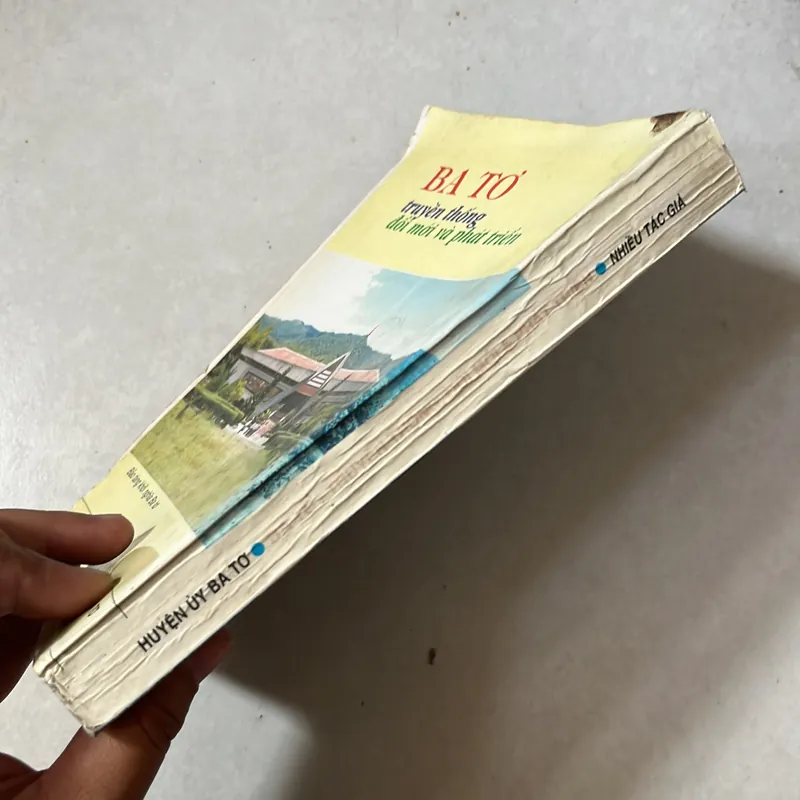 Ba Tơ truyền thống đổi mới và phát triển 590587