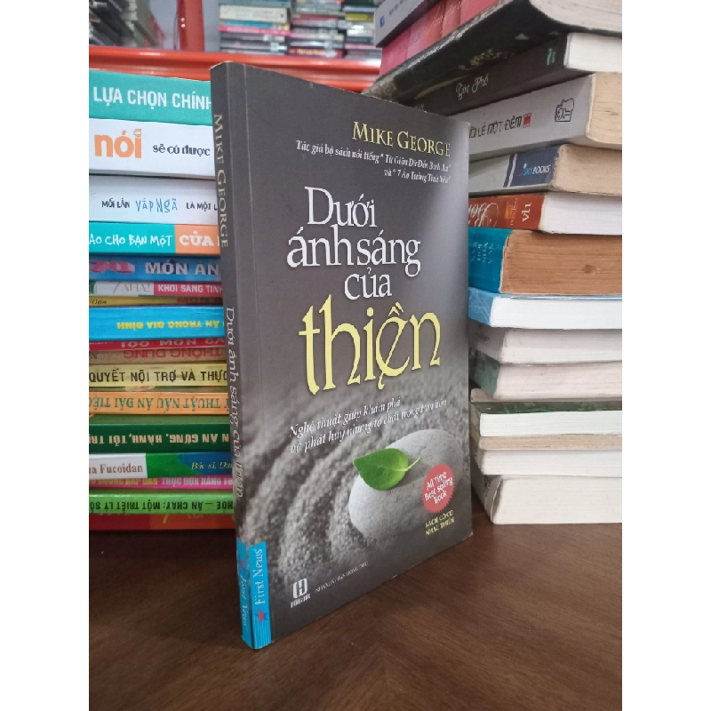 Dưới Ánh Sáng Của Thiền - Mike George 354888