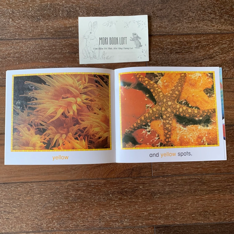 Combo 3c tập đọc Science Emergent Readers: Coral Reef; Desert; Nests, Nests, Nests, Used 477815