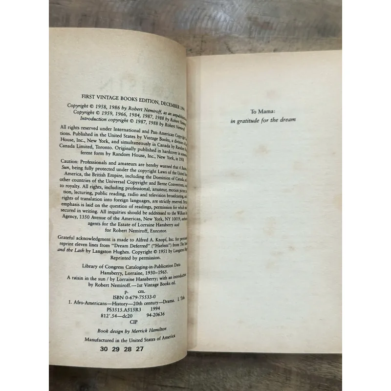 A Raisin in the Sun - Lorraine Hansberry 735422