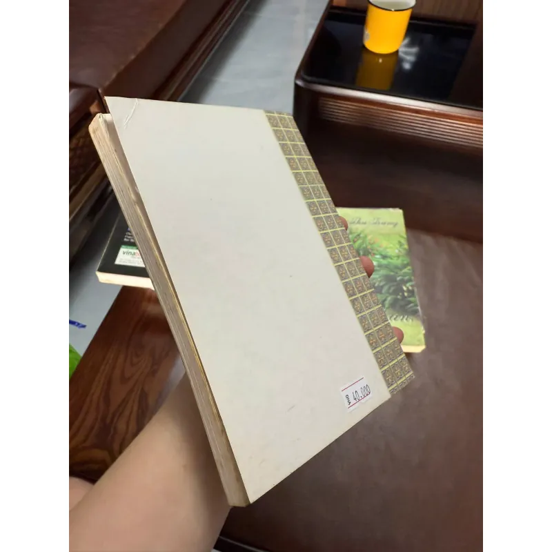 K2-Truyện Kiều – Nguyễn Du (Bình Giải) | Tác Phẩm Kinh Điển Văn Học Việt Nam 990832