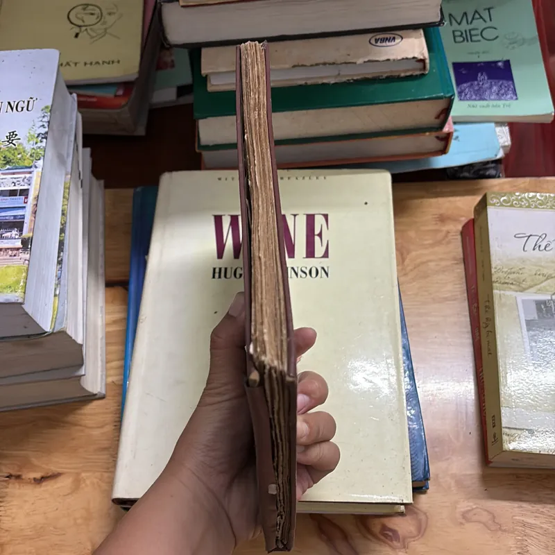 II Sách Phật Giáo: Kinh Địa Tạng - DG. Thích Trí Tịnh - PL. 2534 • 1969 691165