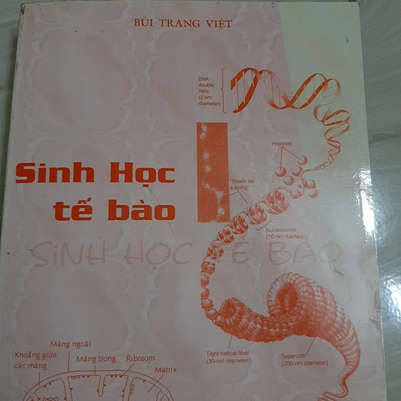 SINH HỌC TẾ BÀO 325199