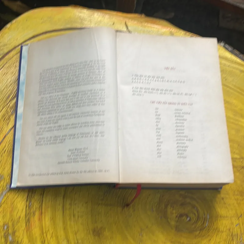 COMBO TỪ ĐIỂN ANH - VIỆT & TỪ ĐIỂN VIỆT - ANH - BÙI PHỤNG 695756