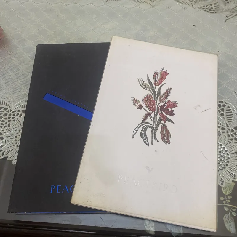 PeaceBird men sunmer & Spring casual 2015 972620