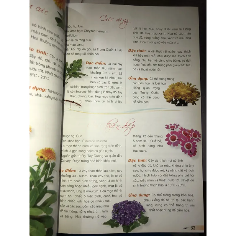 365 loài hoa cảnh  732810