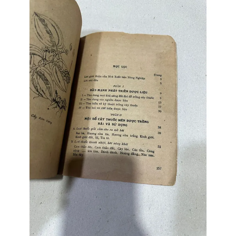 Trồng hái và dùng cây thuốc  554939