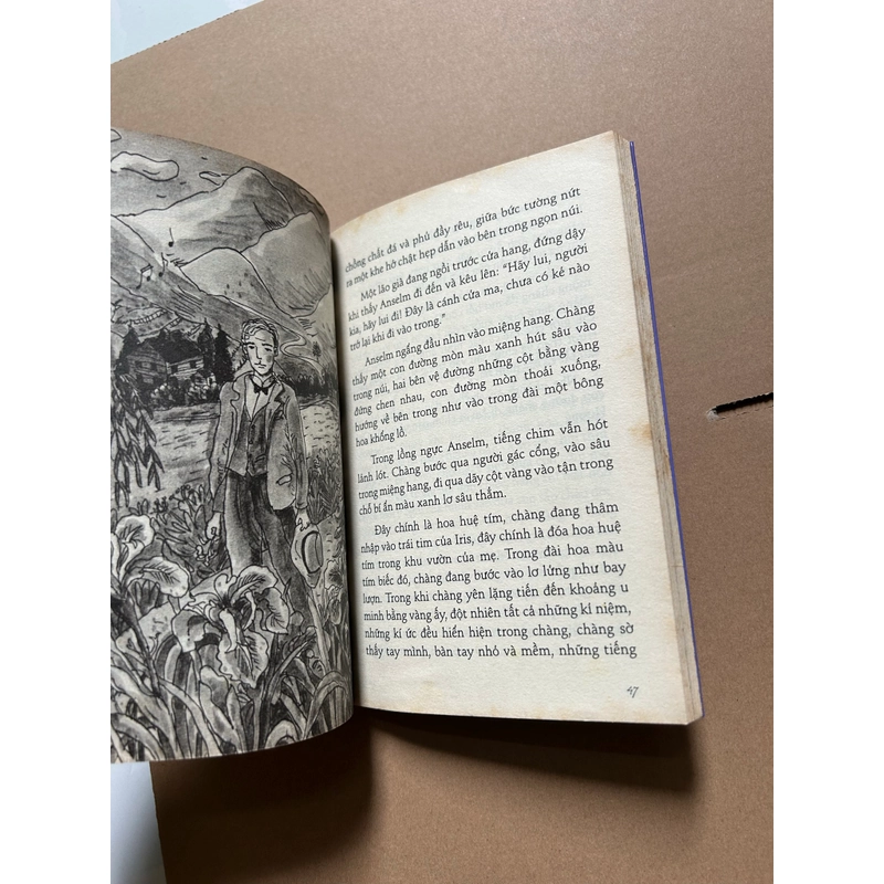 Huệ Tím HERMANN HESSE 542483