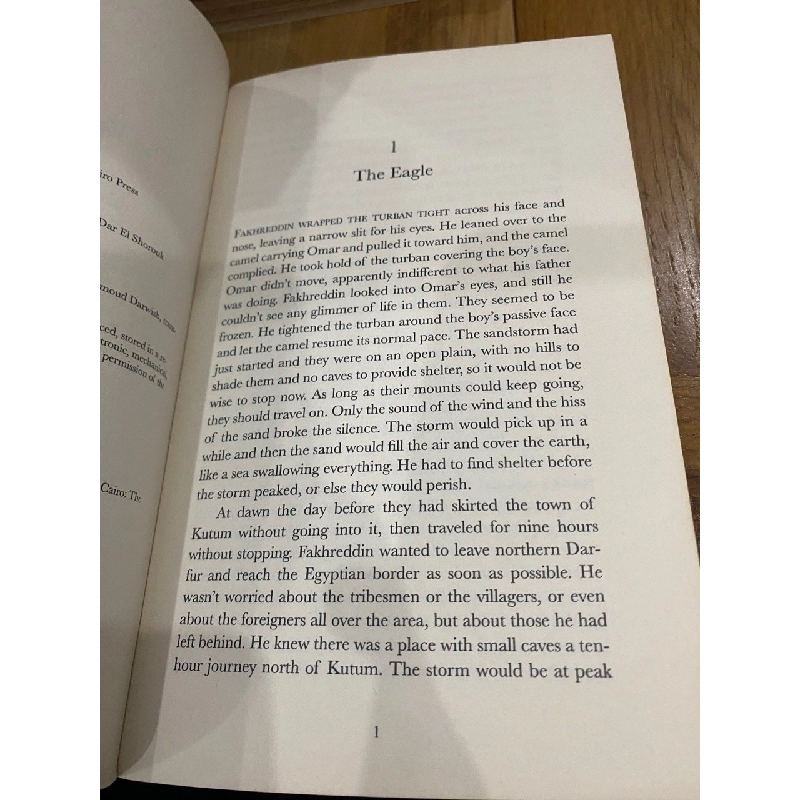The Egyptian Assassin - Ezzedine C. Fishere 541286