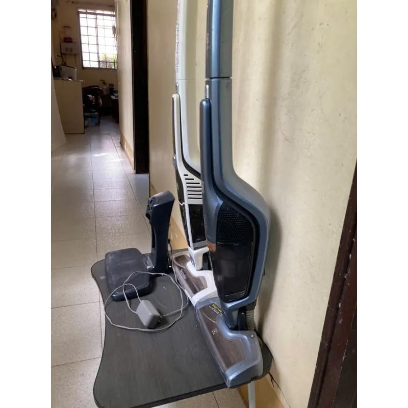 Máy hút bụi Electrolux Ergorapido 2 máy và đốc sạc 788950