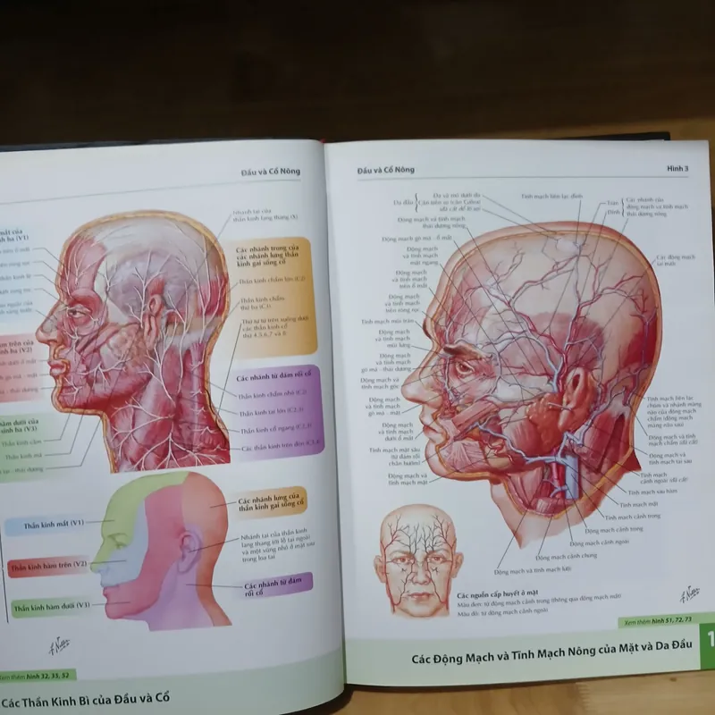 Atlas Giải Phẫu Người (Ấn Bản Lần Thứ 6) - Frank H. Netter, MD 570689