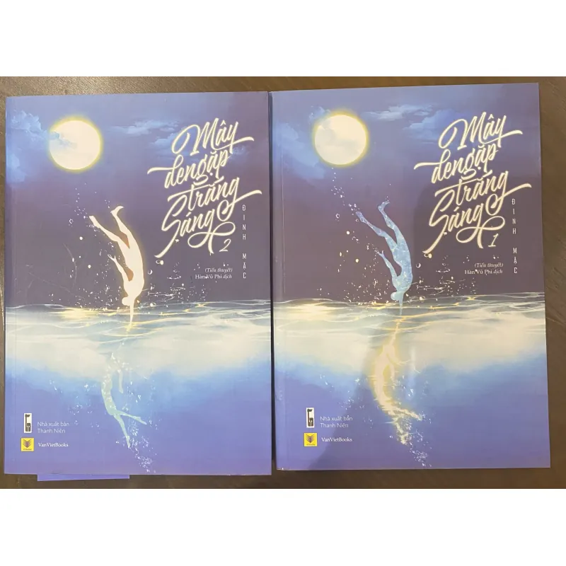 Mây đen gặp trăng sáng- Đinh Mặc 785879