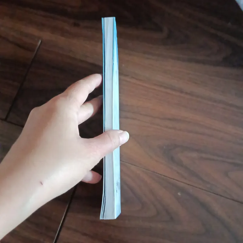 Kì nghỉ của nhóc nicolas 761851