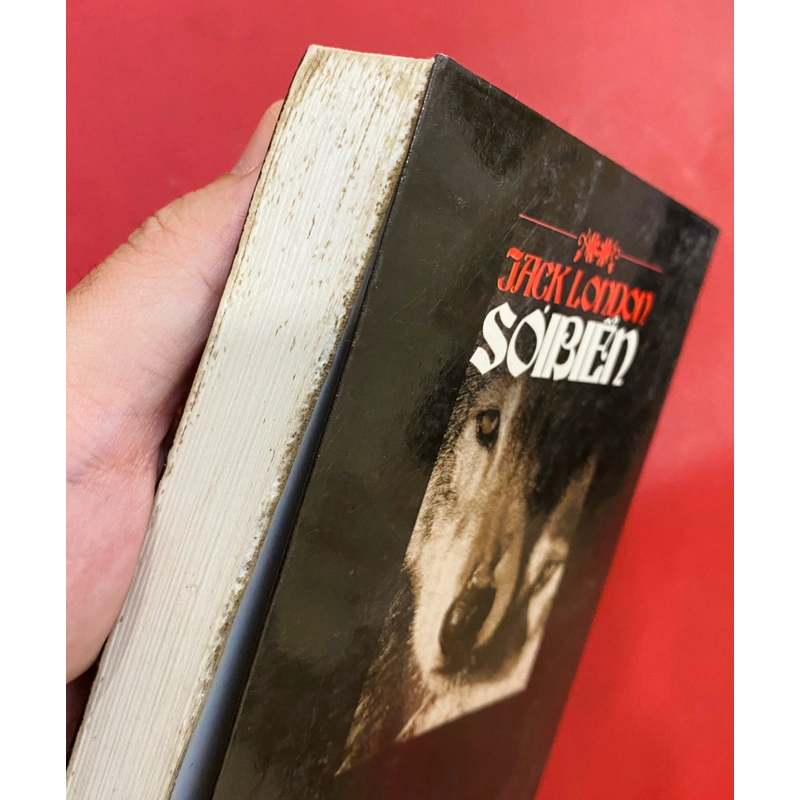 Sói Biển - Jack London 521287