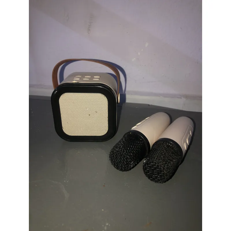 Loa Karaoke Mini di động kèm 2 micro không dây 974357