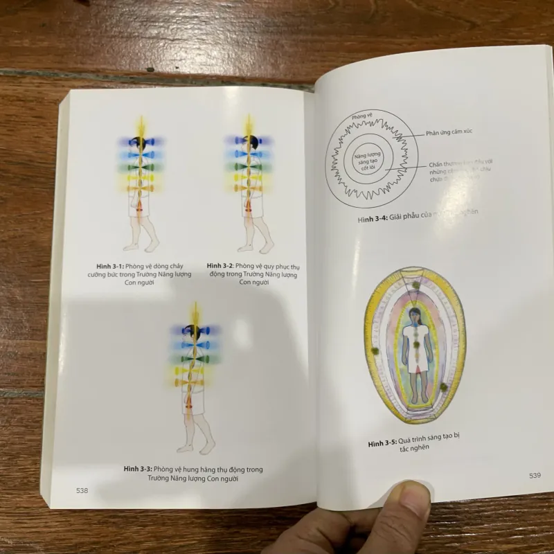 Chữa Lành Ánh Sáng Bản Thể - Barbara Ann Brennan (8) 784186