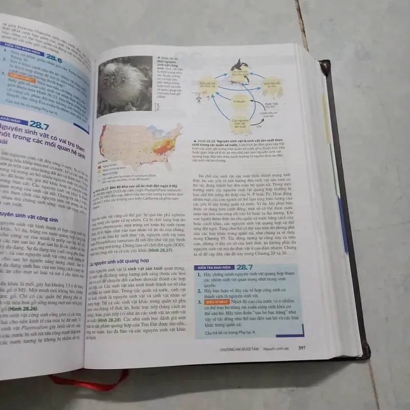 Sinh học Campbell 972269